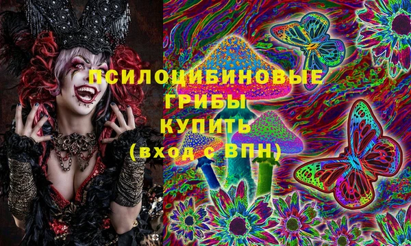 ГАЛЛЮЦИНОГЕННЫЕ ГРИБЫ Белоозёрский