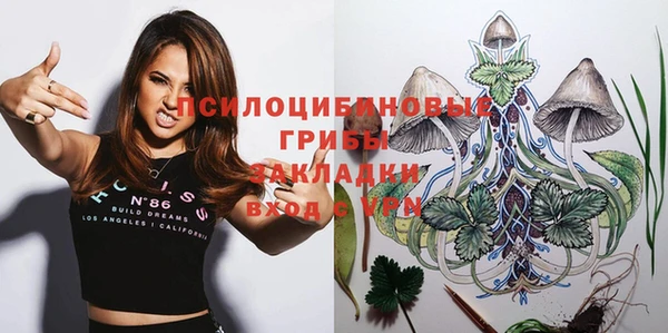 ГАЛЛЮЦИНОГЕННЫЕ ГРИБЫ Белоозёрский