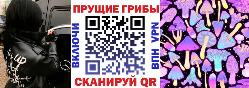 Псилоцибиновые грибы Psilocybe  Костерёво 